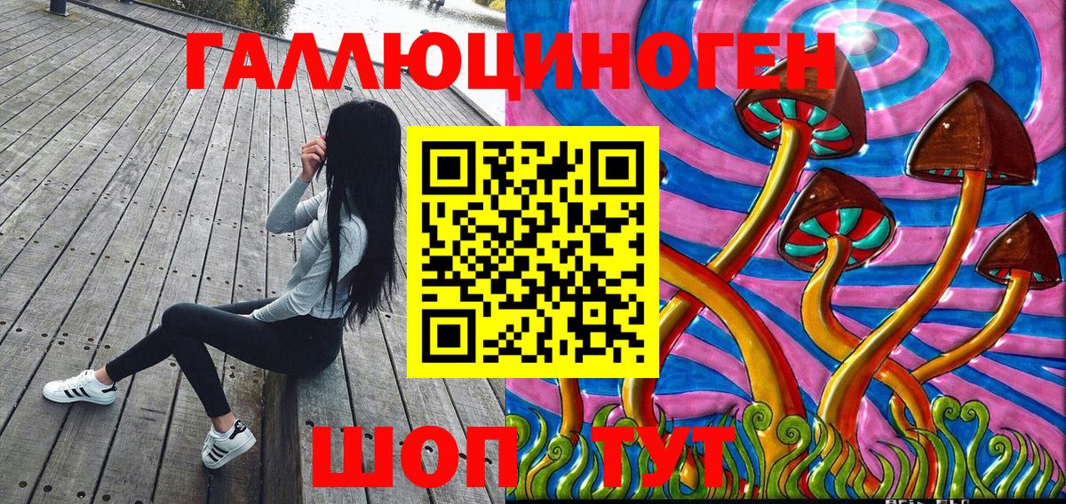 Комсомольск-на-Амуре  Псилоцибиновые грибы прущие грибы  Вход с VPN 